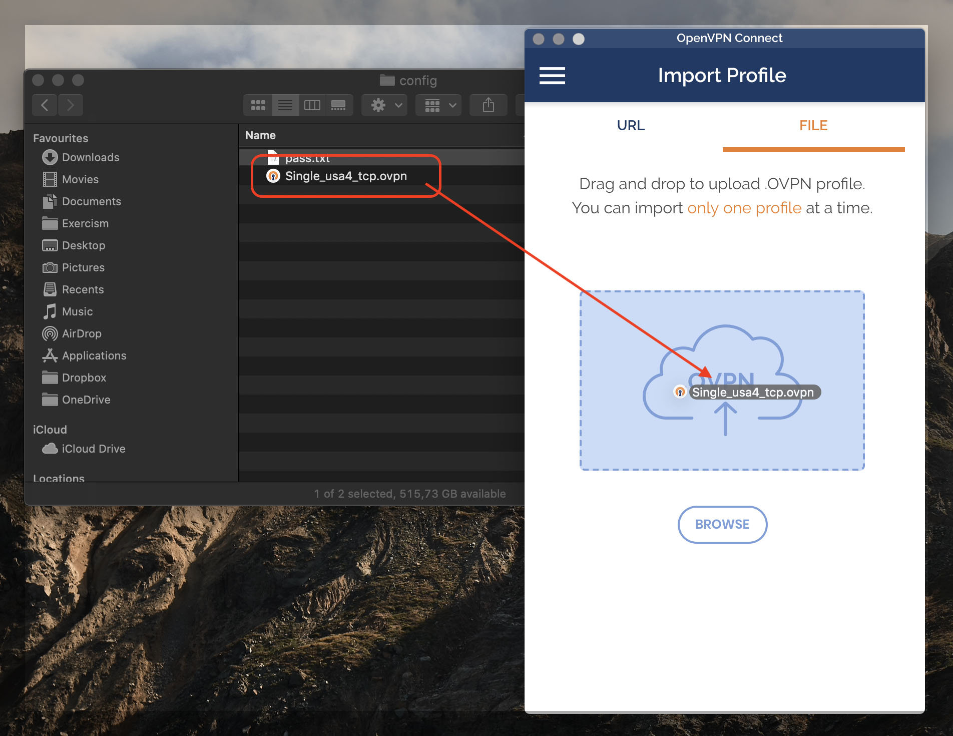 OpenVPN Connect install