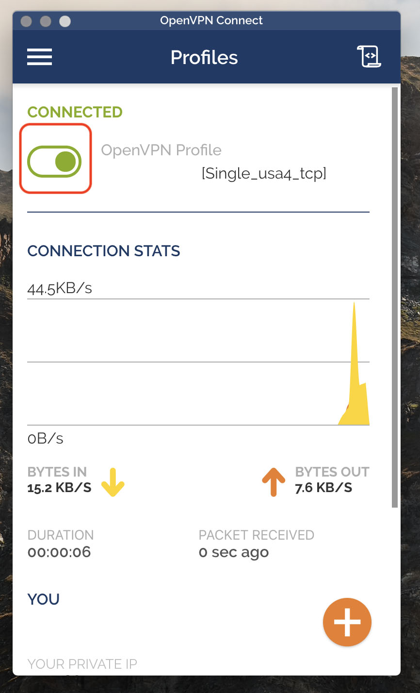 OpenVPN Connect install